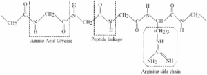 Peptide Molecular Structure – Scientific Research Visualization